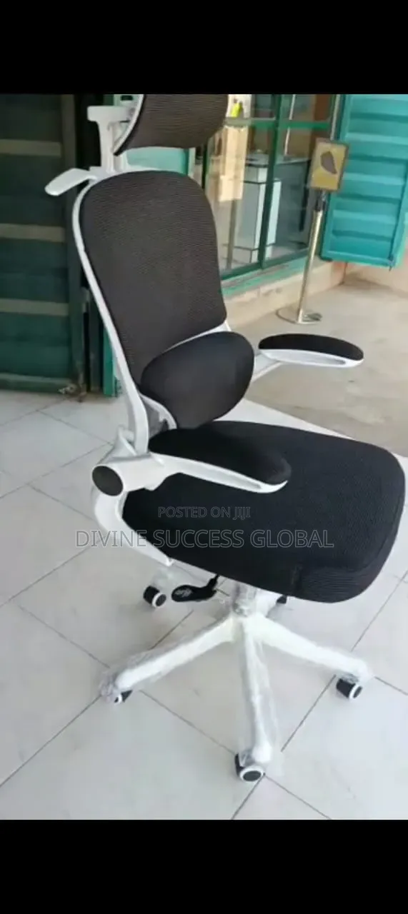 Senior Executive Office Ergonomic Chair