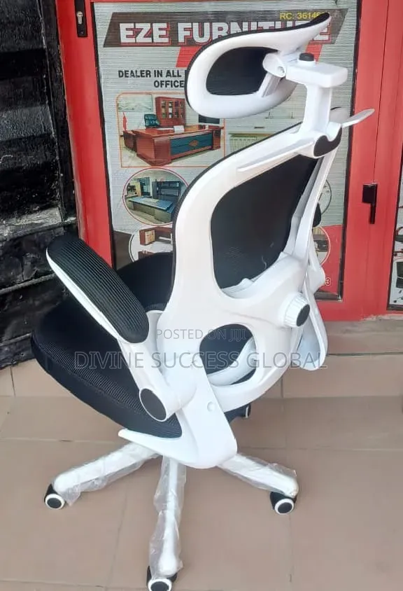Senior Executive Office Ergonomic Chair