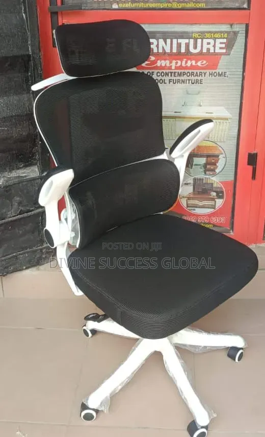 Senior Executive Office Ergonomic Chair