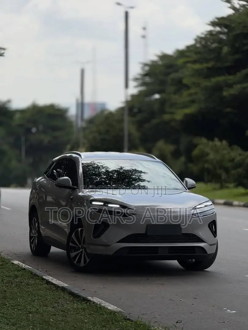 New BYD Song Plus 2025 Gray