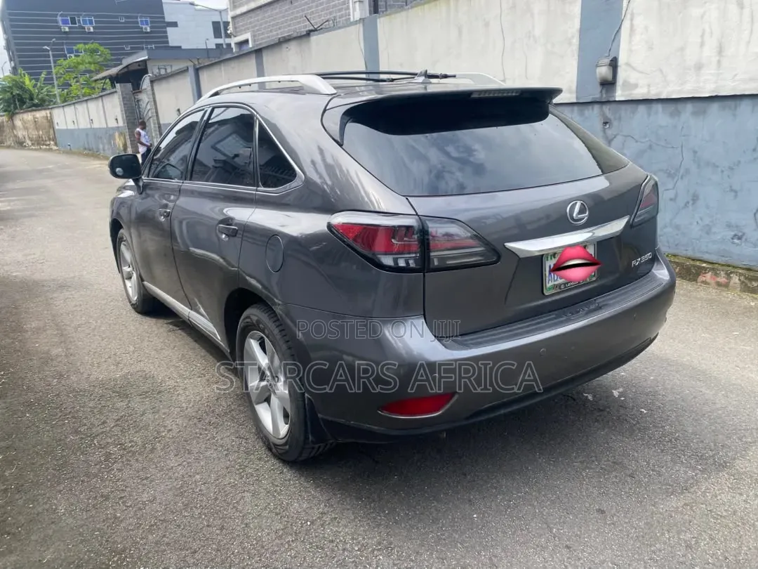 Lexus RX 2013 Gray