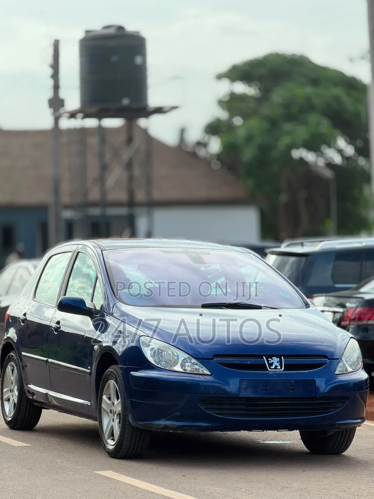 Peugeot 307 2004 Blue