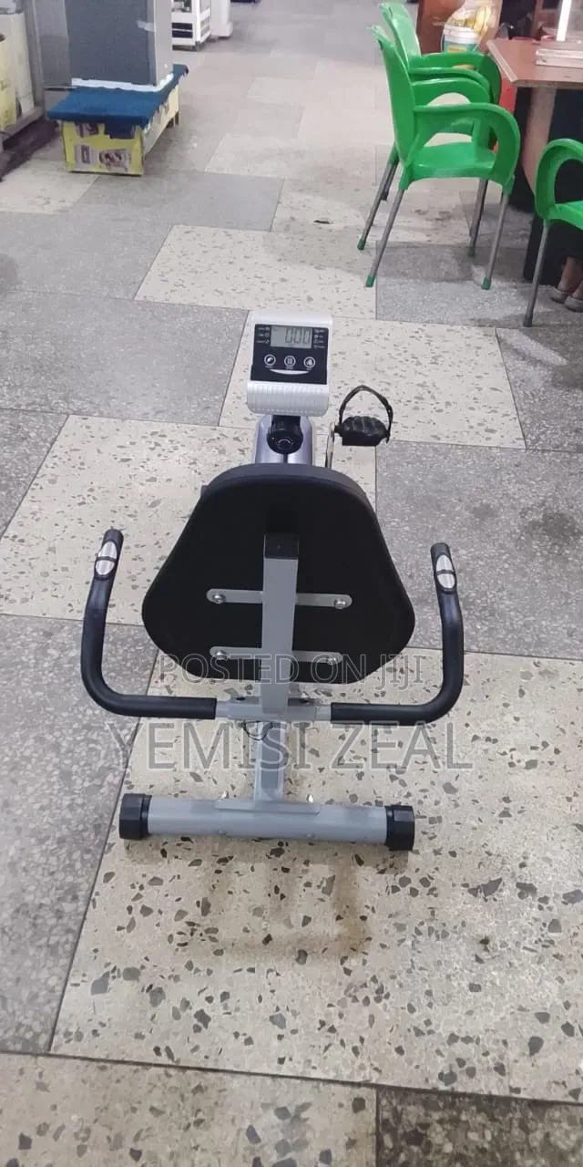 Adjustable Recumbent Exercise Bike for Home