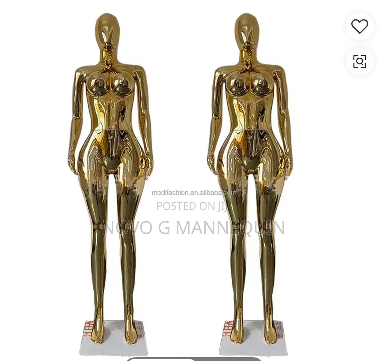 Nova G Mannequin Enterprise