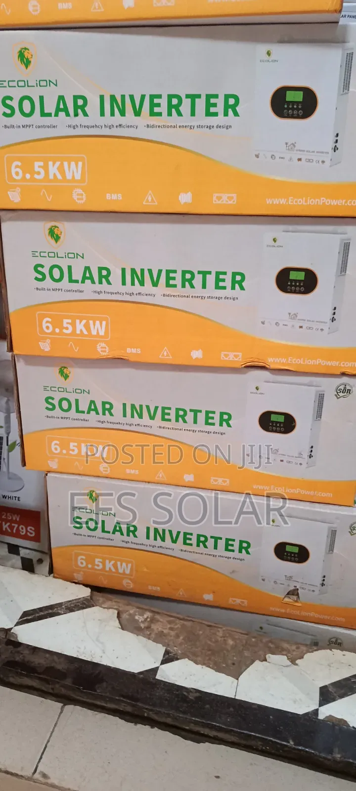 Title: Ecolion 6.5kW 48V Hybrid Solar Inverter With MPPT Controller