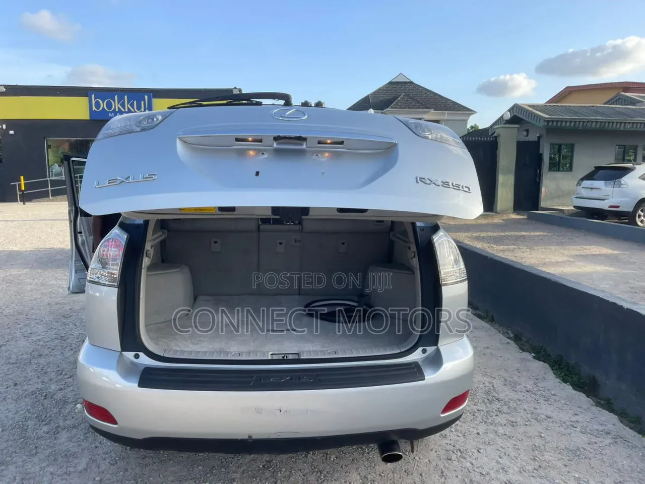 Lexus RX 2009 Silver