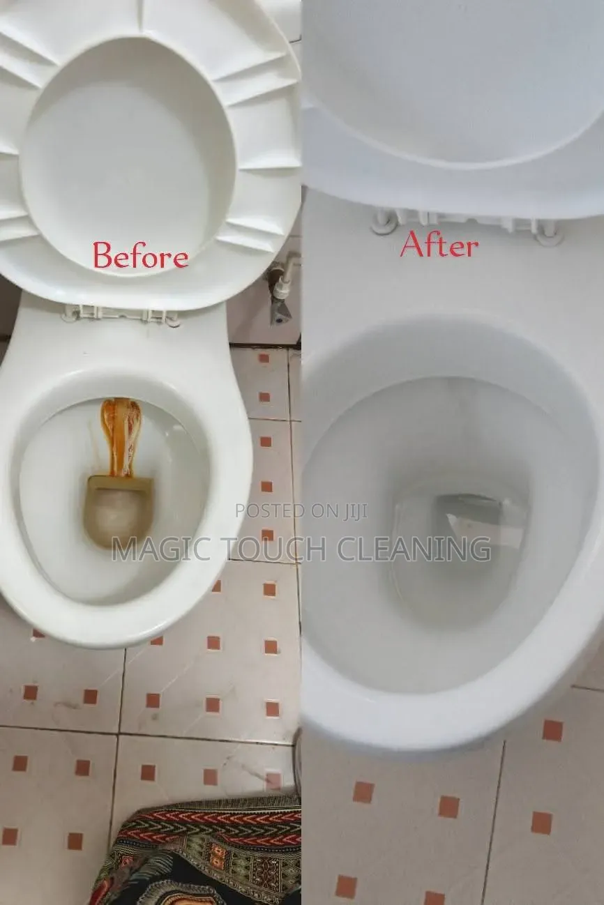 Disinfecting Toilet Seat