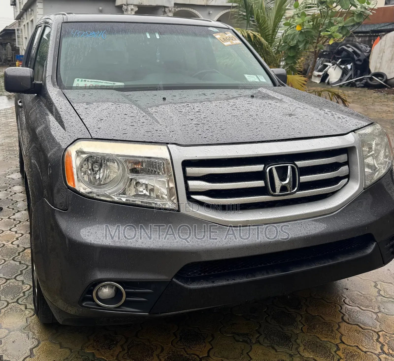 Honda Pilot EX-L 4dr SUV (3.5L 6cyl 5A) 2015 Gray