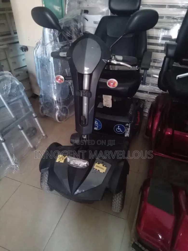 Ws Electric Scooter