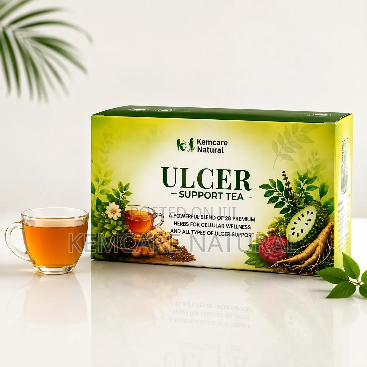 Ulcer Formula for H.pylori Ulcer Types Magic Blend Kemcare Natural