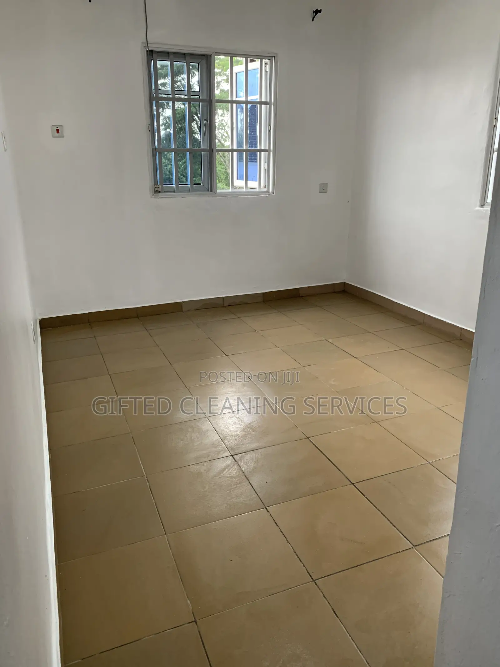 Deep Cleaning of 1 Room Apartment