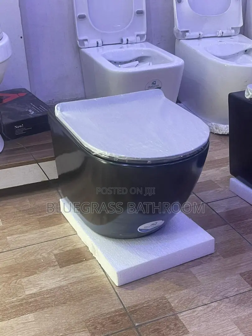 Black Conceal Water Closet