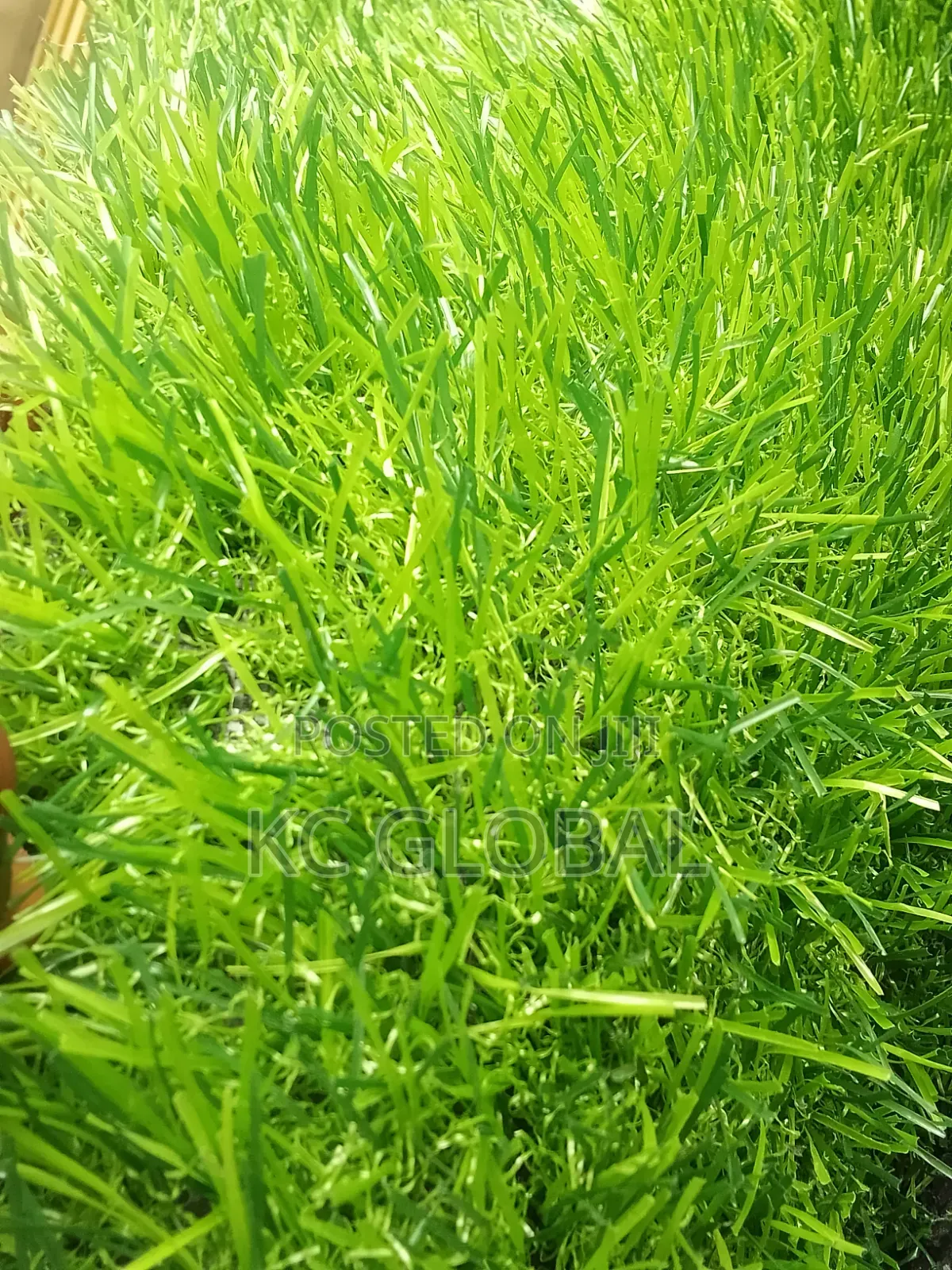 Artificial Grass 30mm Green Red Blue Black Yellow Available