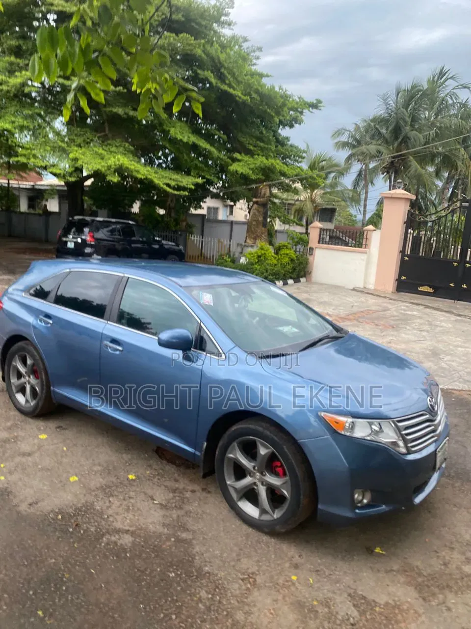 Toyota Venza 2010 Blue