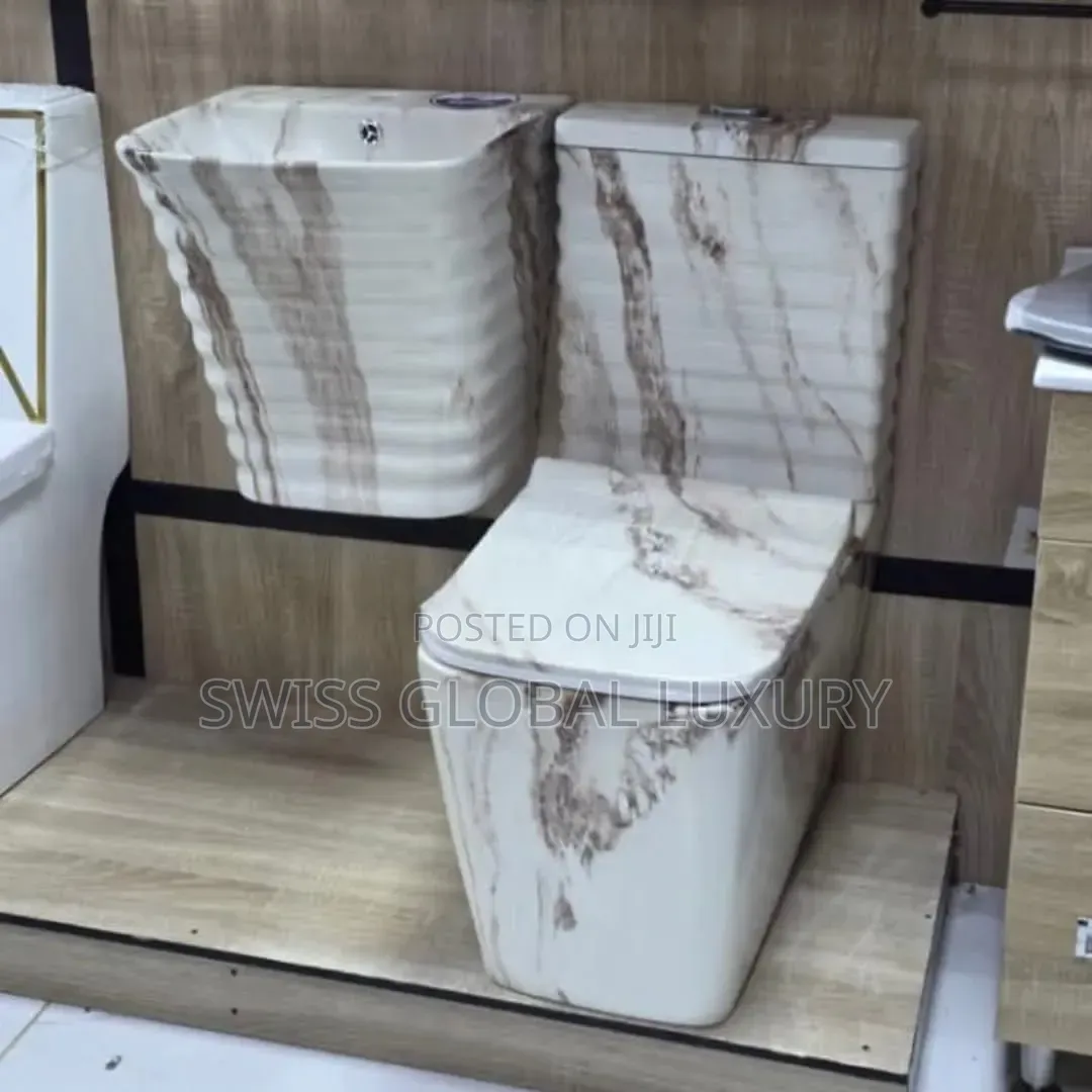 High Executive WC Toilet and Wall-Hung Basin