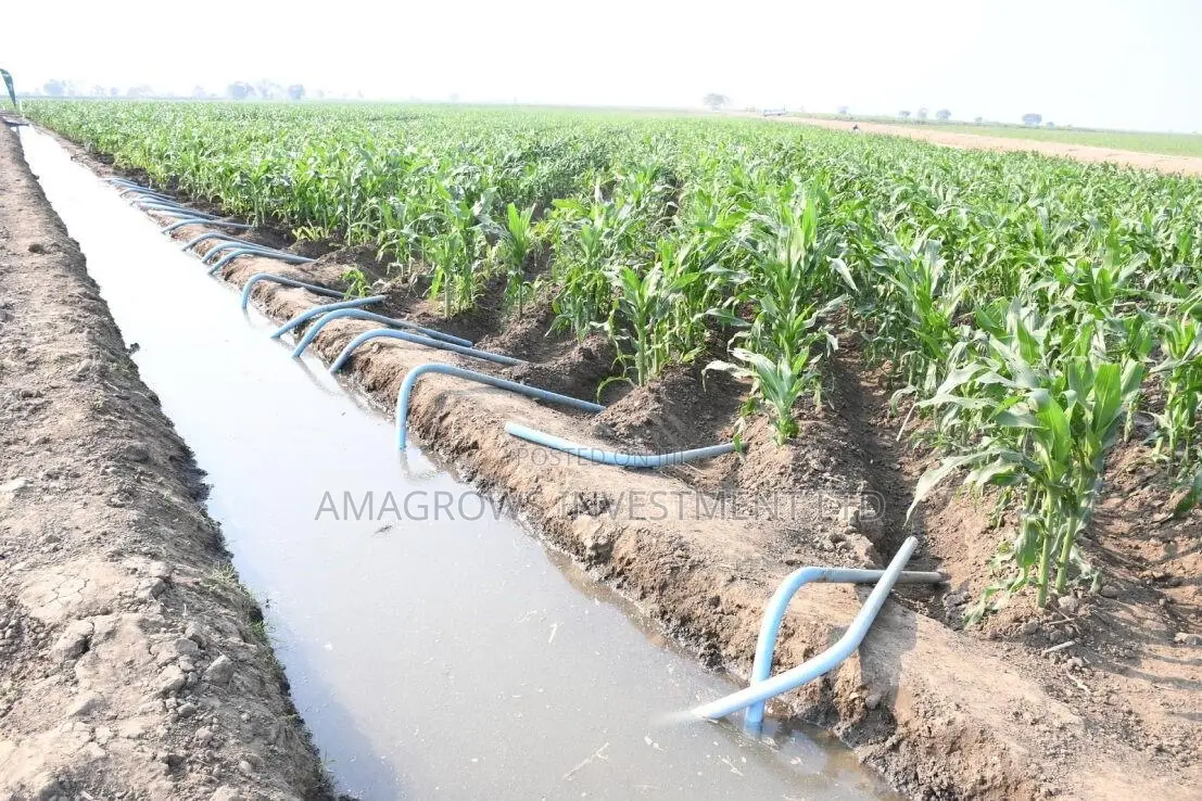 Amadrip Rain Hose 32mm_0.2mm_200m