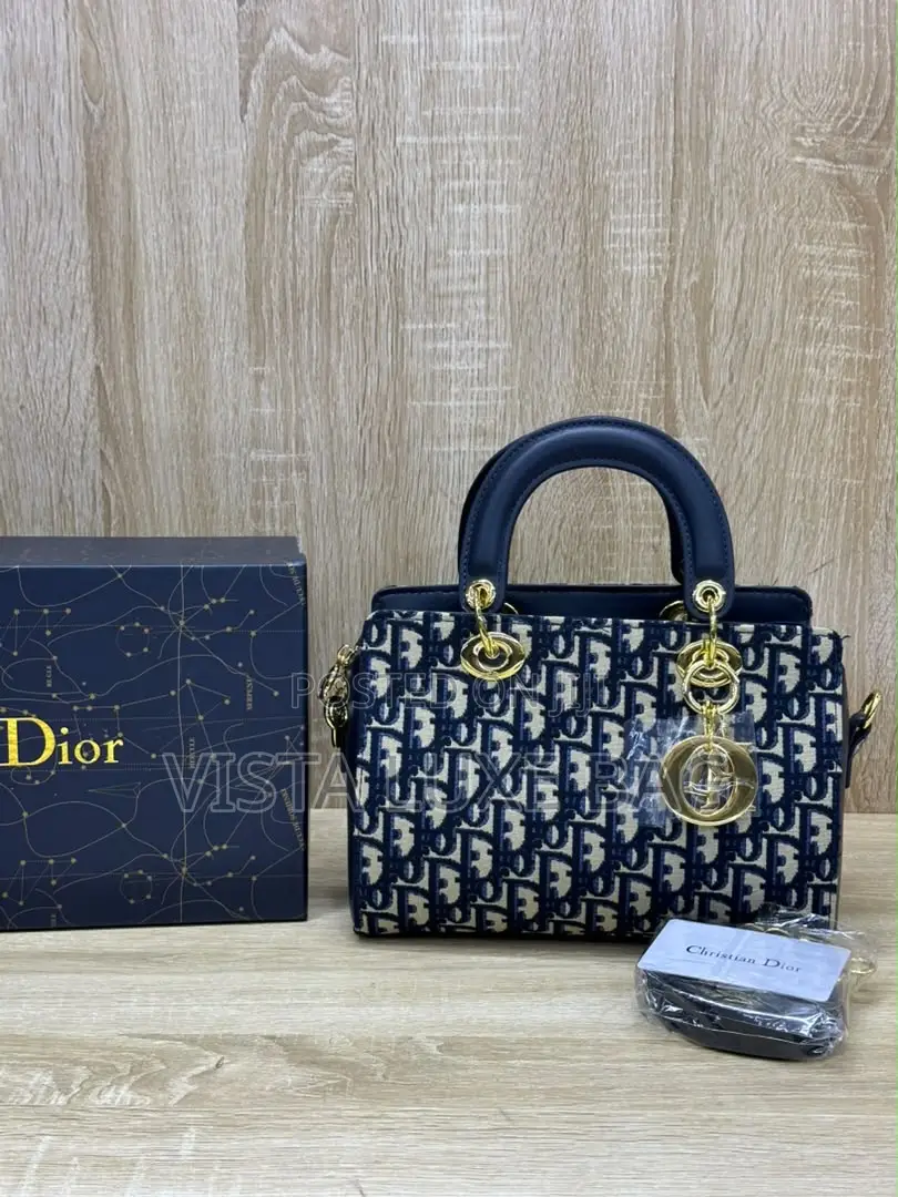 Dior Mini Bag