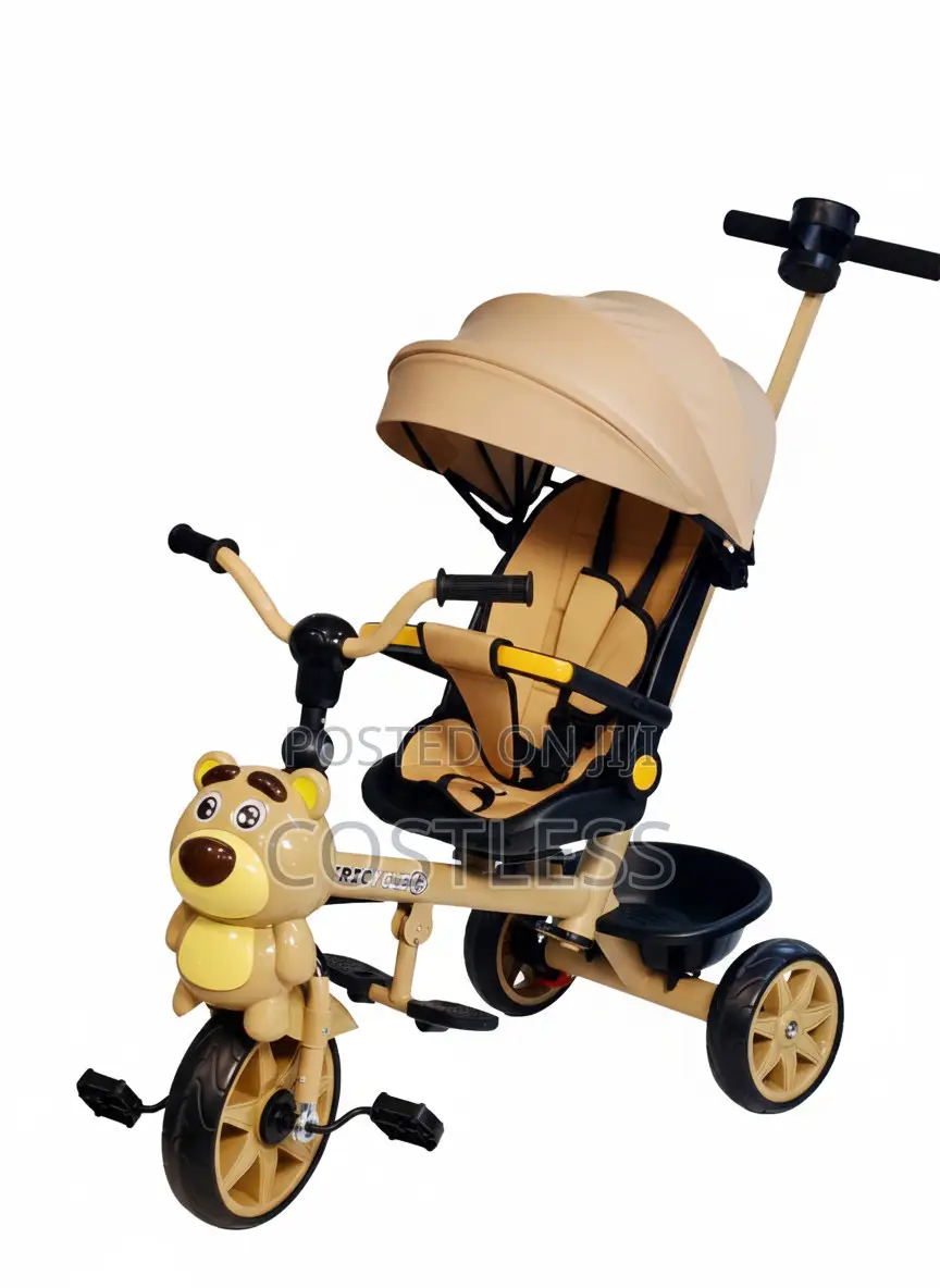 Tricycle With Design on the Front Wheel and a Matching Canopy