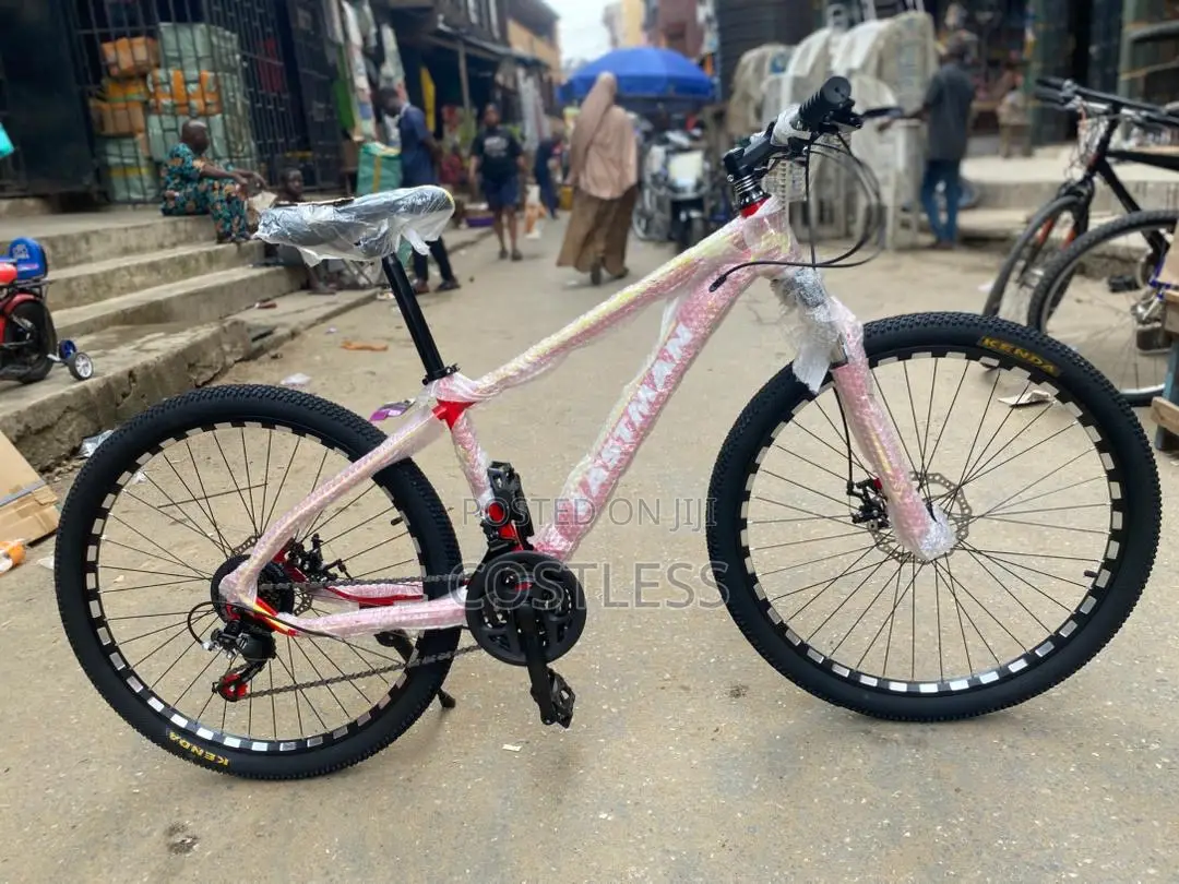 Eastman Brand Mountain Bike