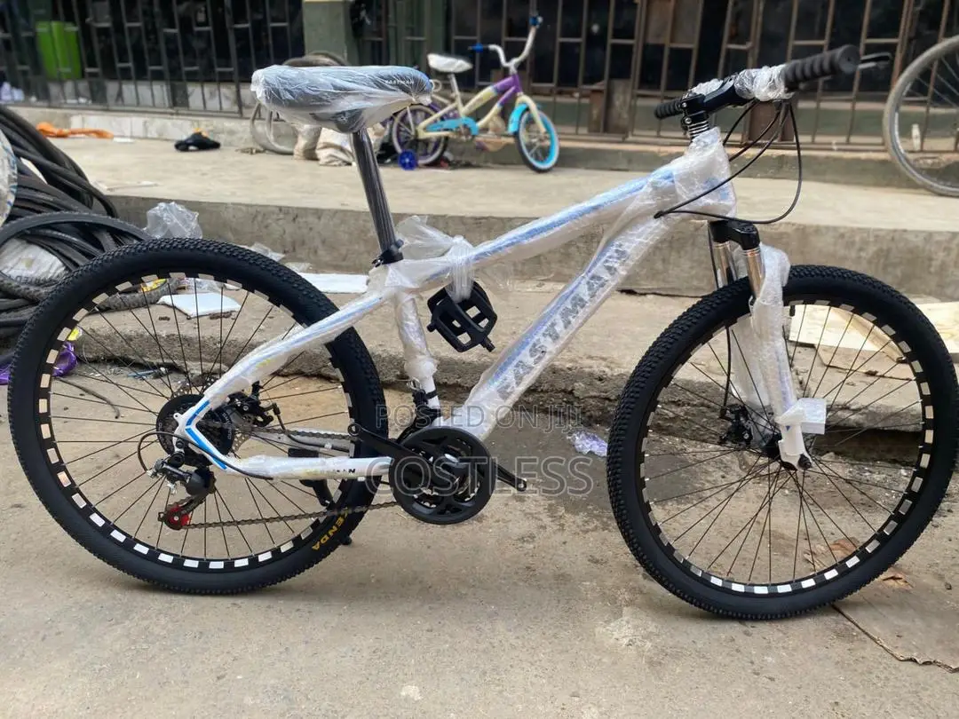 Eastman Brand Mountain Bike