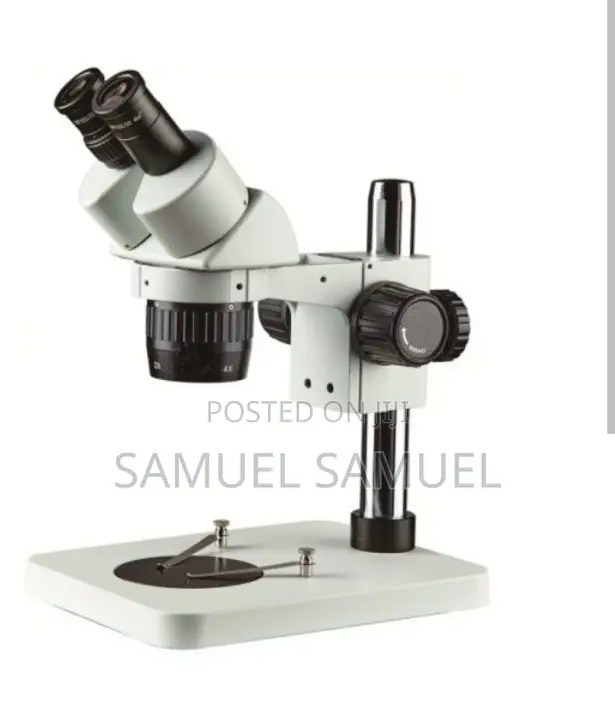 Stereo Microscope
