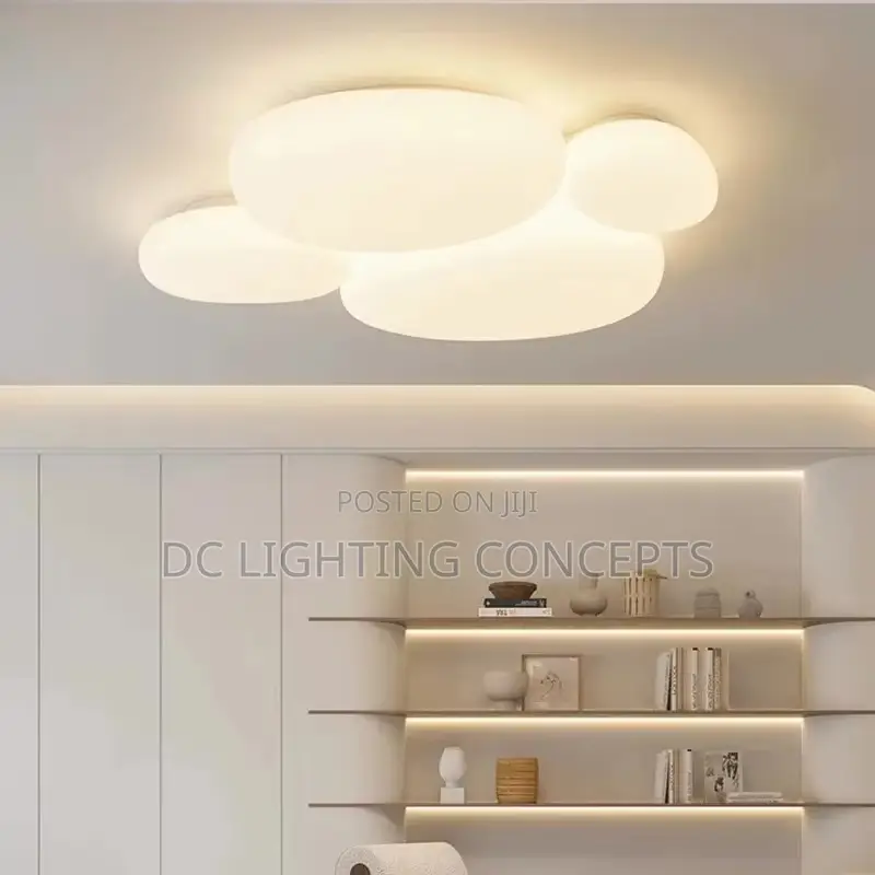Modern Minimalist Oval Iron Acrylic LED Flush Mount Ceiling Light.