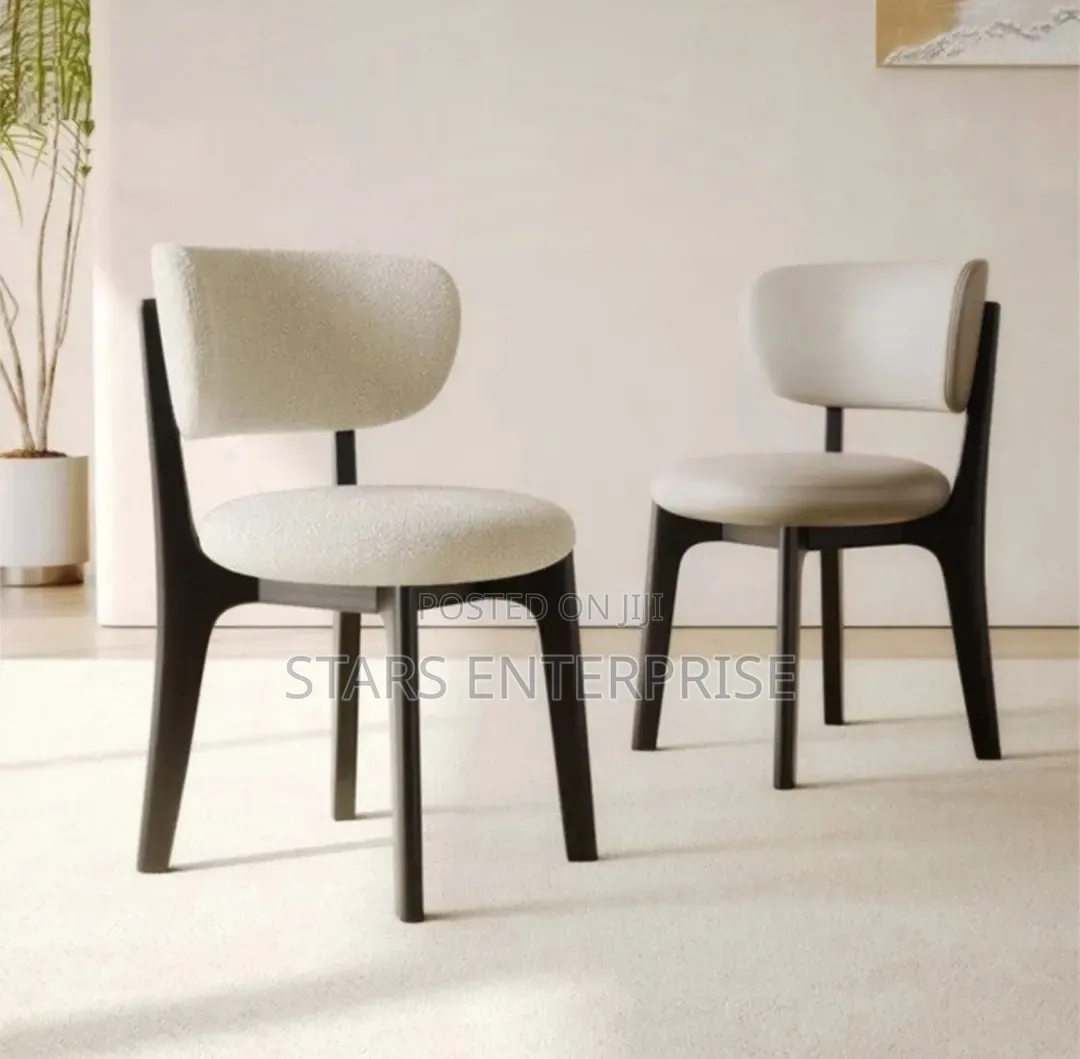 Dining Chair / Relaxing Chair