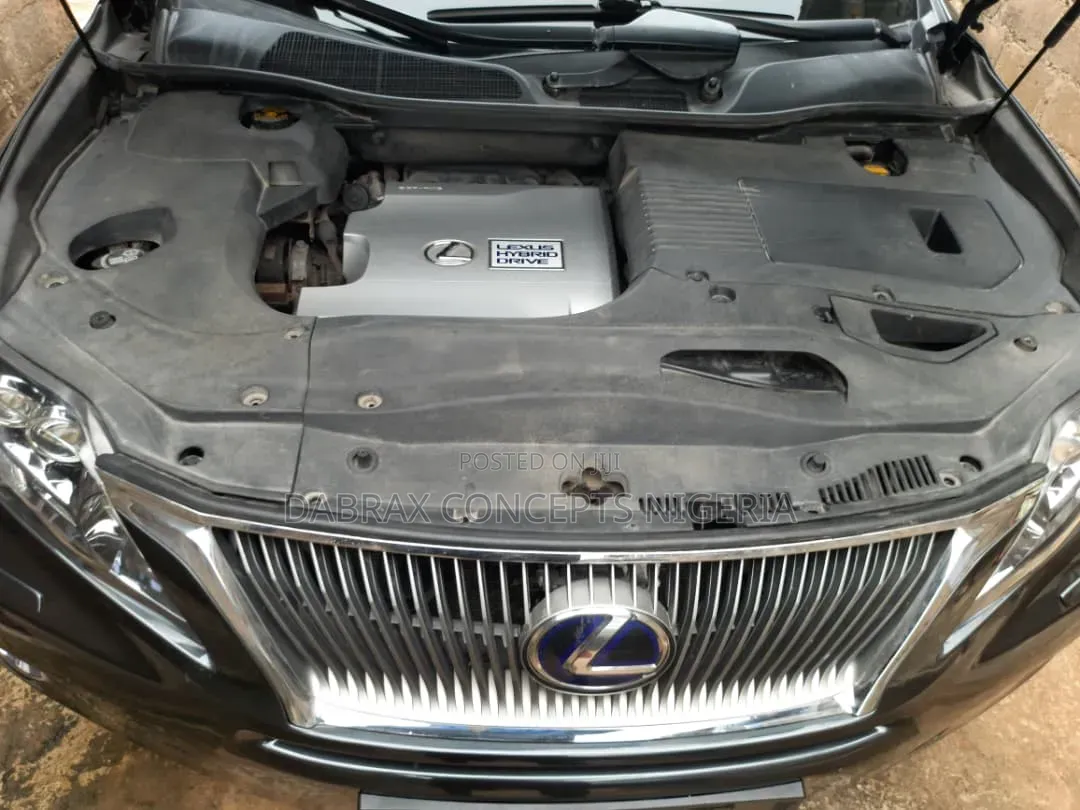 Lexus RX 2010 Gray