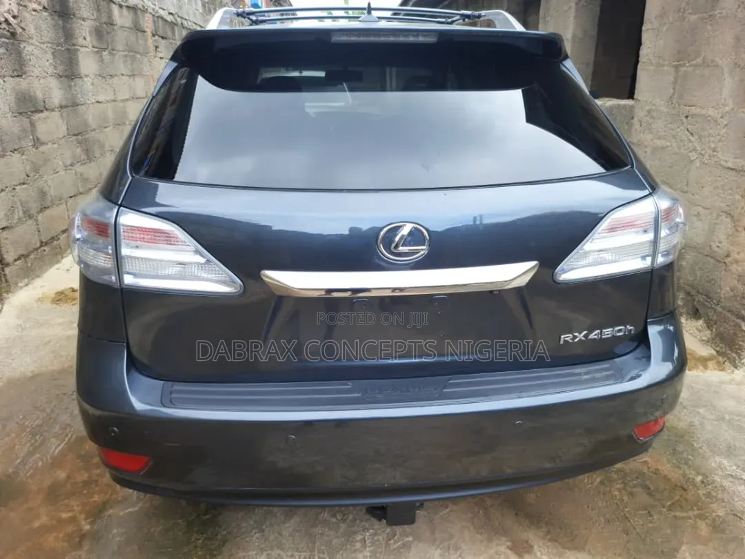 Lexus RX 2010 Gray