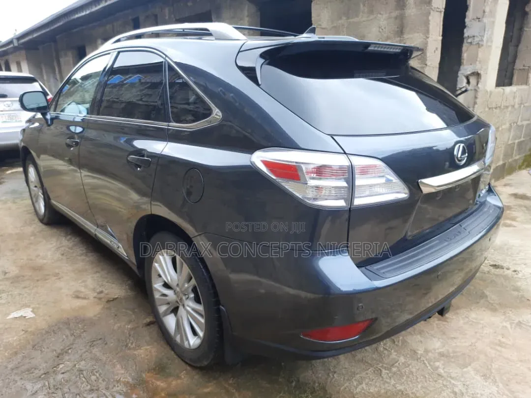 Lexus RX 2010 Gray