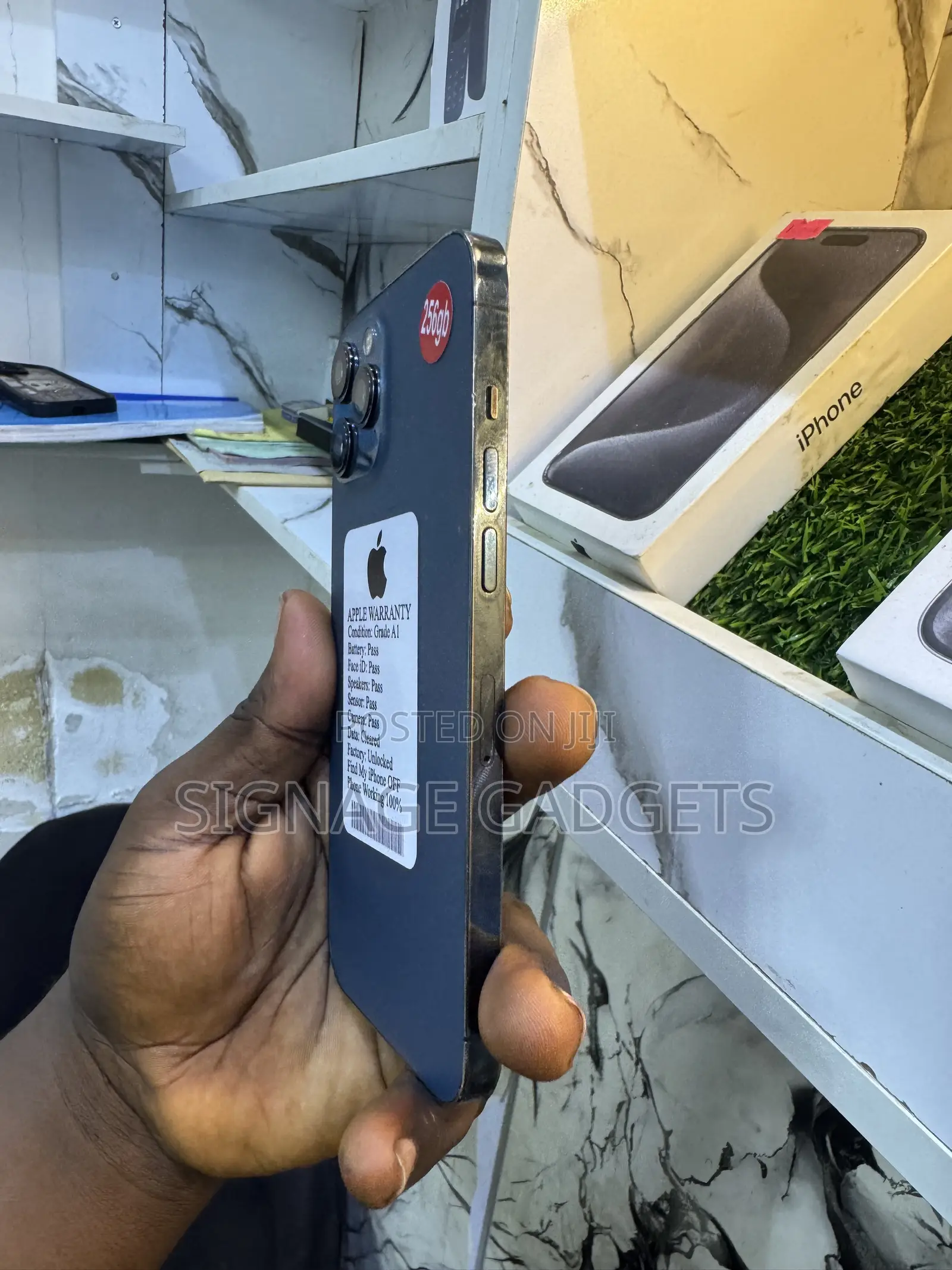 Apple iPhone 12 Pro Max 256 GB Blue