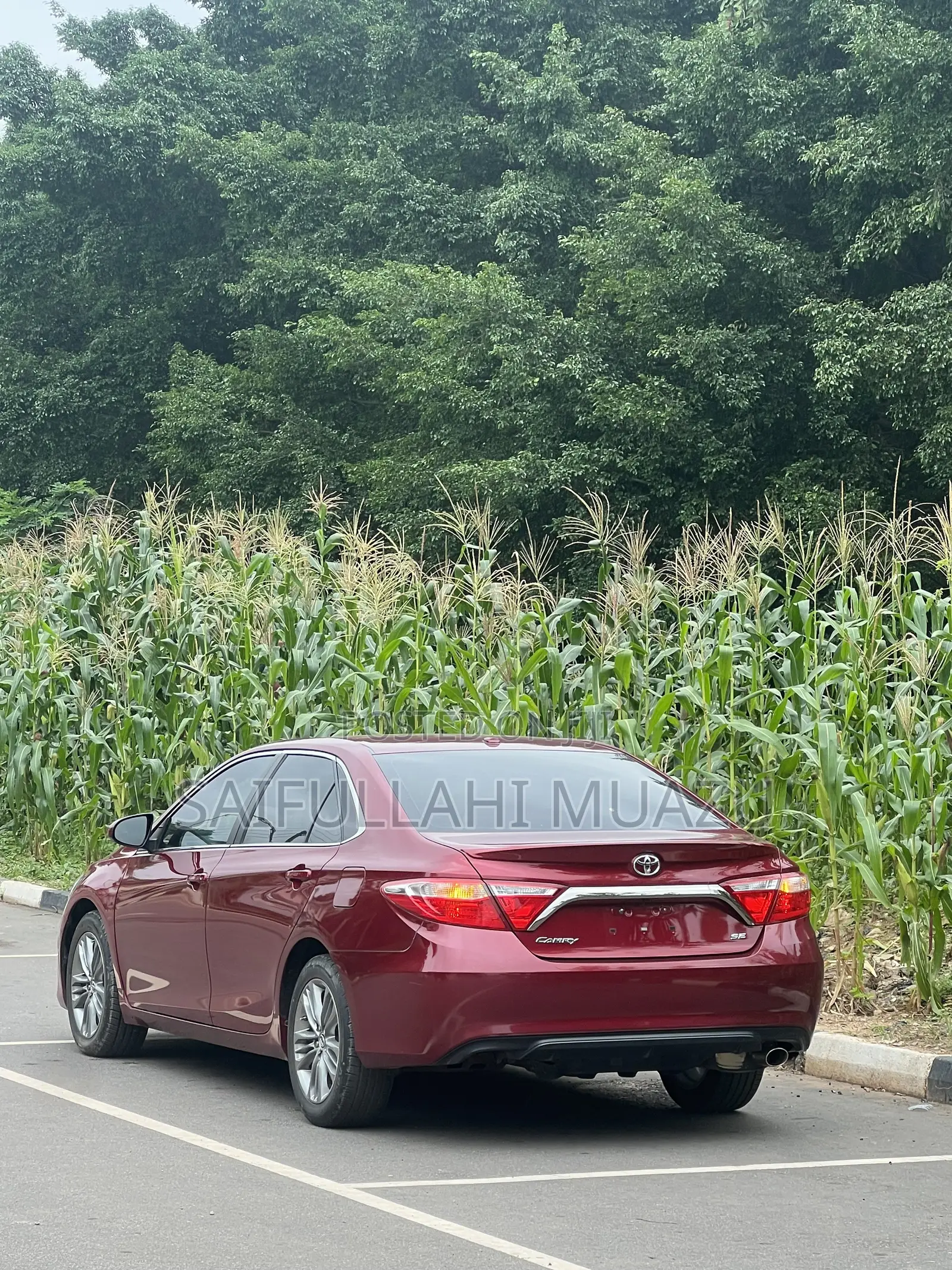Toyota Camry SE w/Special Edition Pkg (2.5L 4cyl 6A) 2016 Red