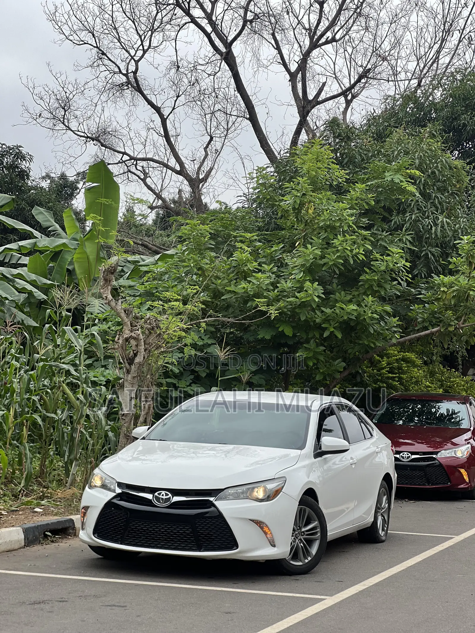 Toyota Camry SE 4dr Sedan (2.5L 4cyl 6A) 2015 White