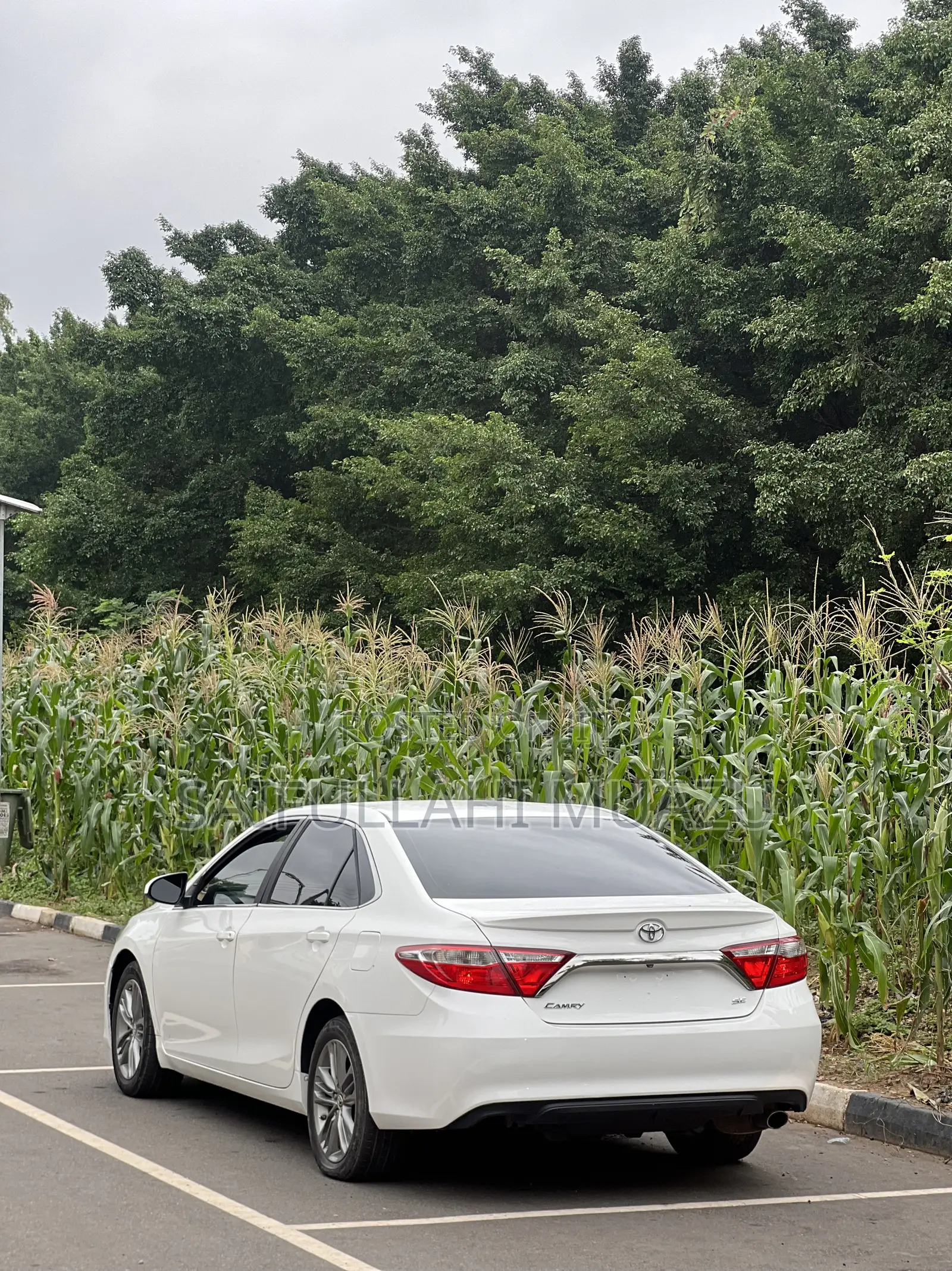 Toyota Camry SE 4dr Sedan (2.5L 4cyl 6A) 2015 White