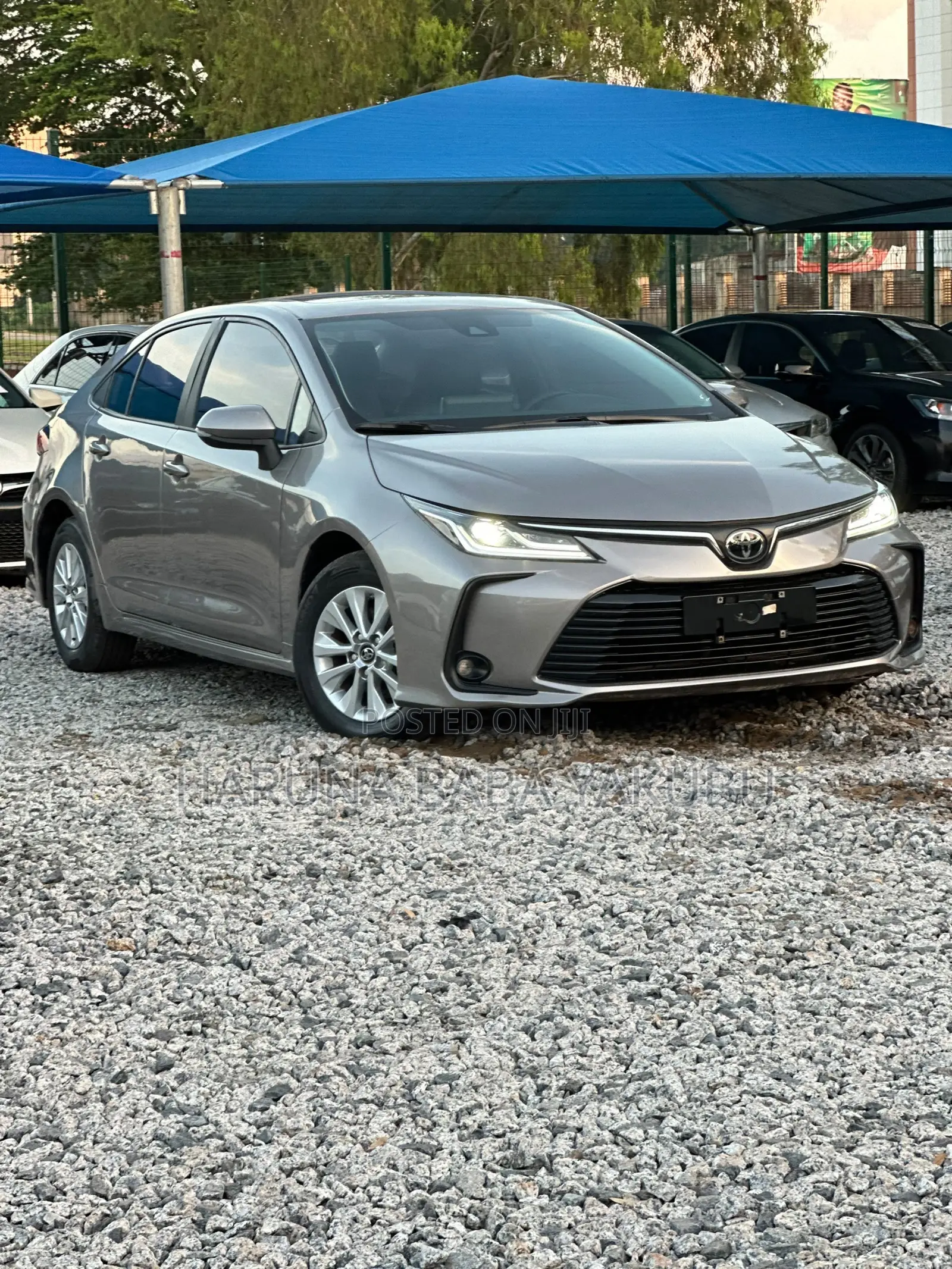 Toyota Corolla 2023 Teal