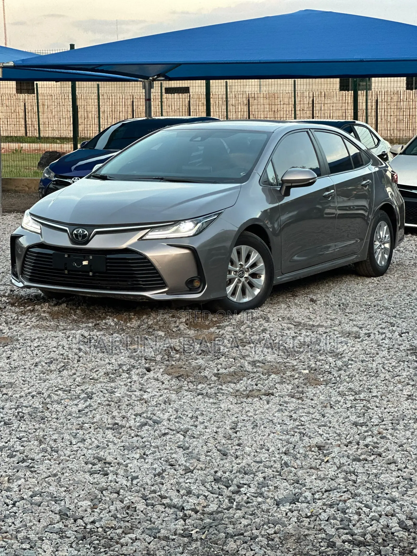 Toyota Corolla 2023 Teal