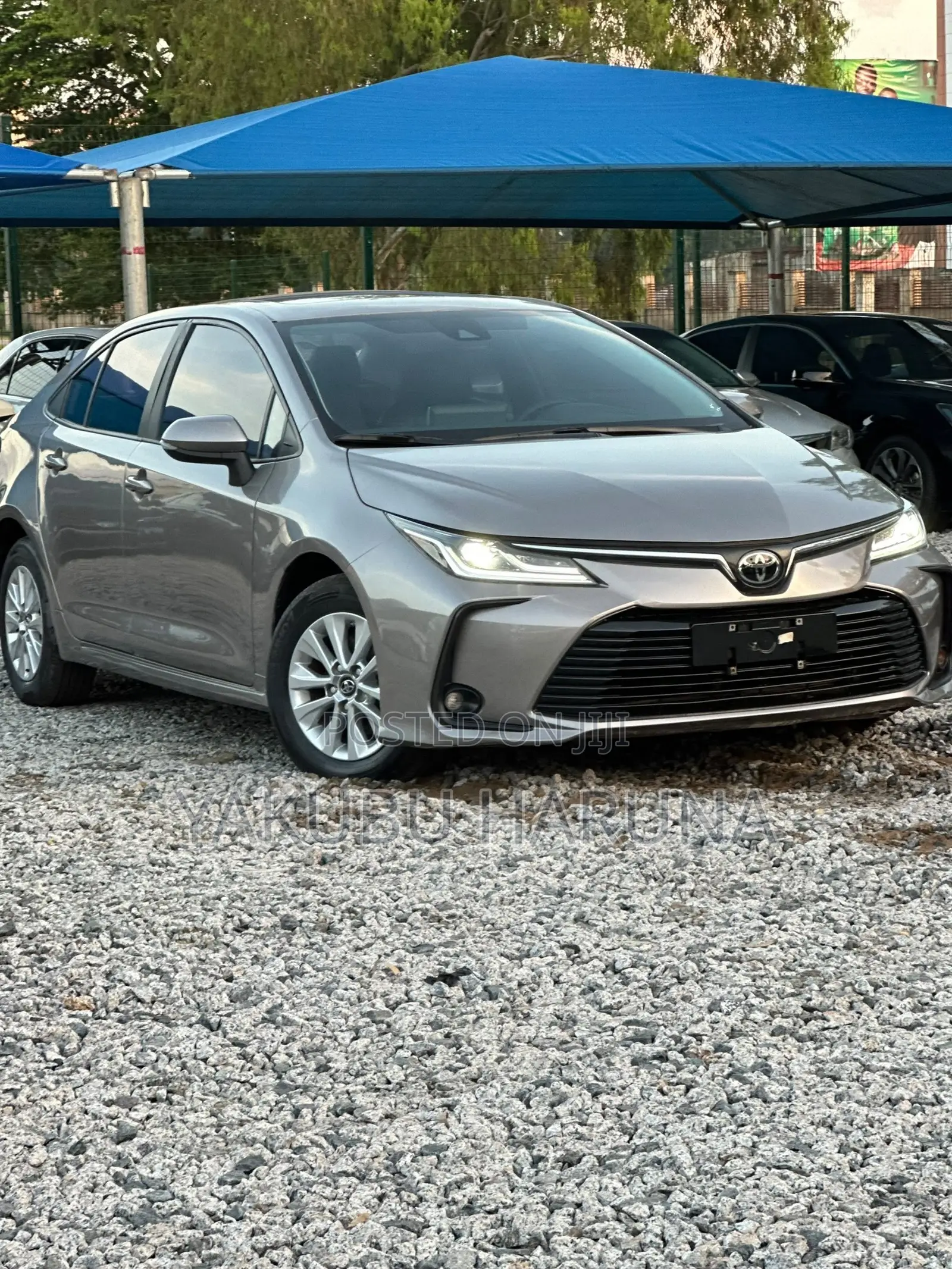 Toyota Corolla 2023 Gray