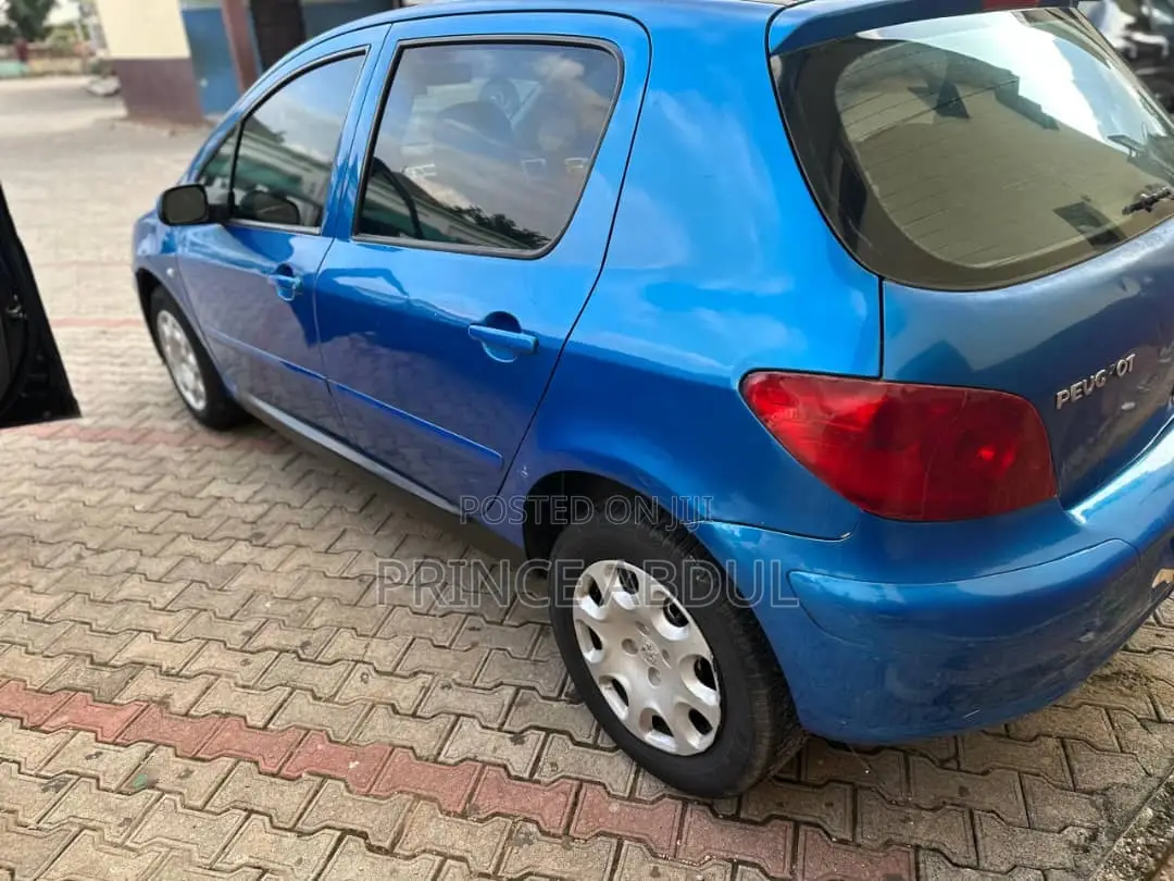 Peugeot 307 2008 Blue