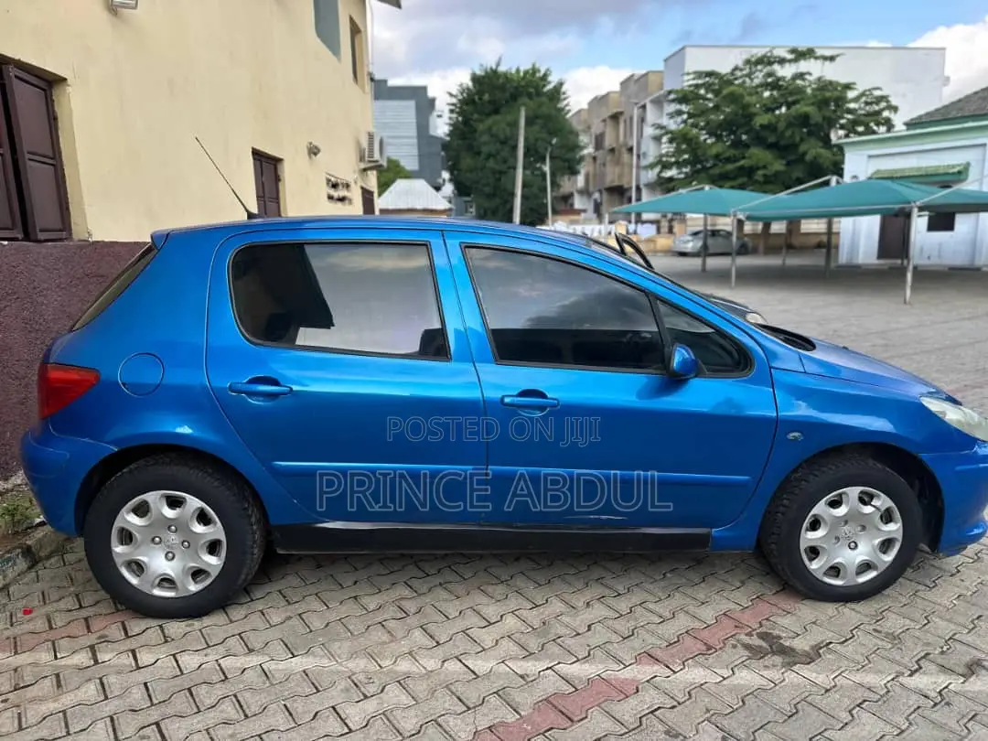 Peugeot 307 2008 Blue