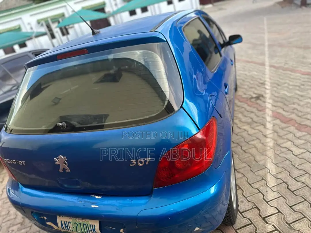 Peugeot 307 2008 Blue
