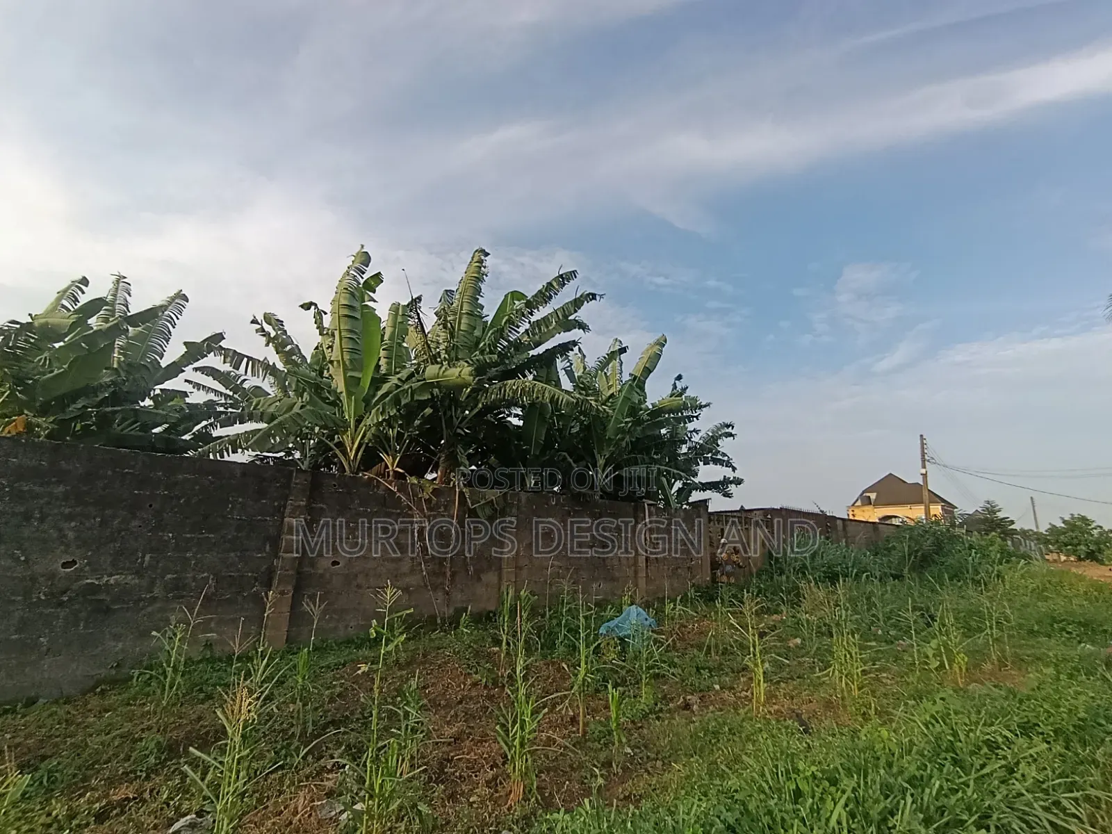 A Table Dry Land Fenced Gated in a Serene Environment We Good Title