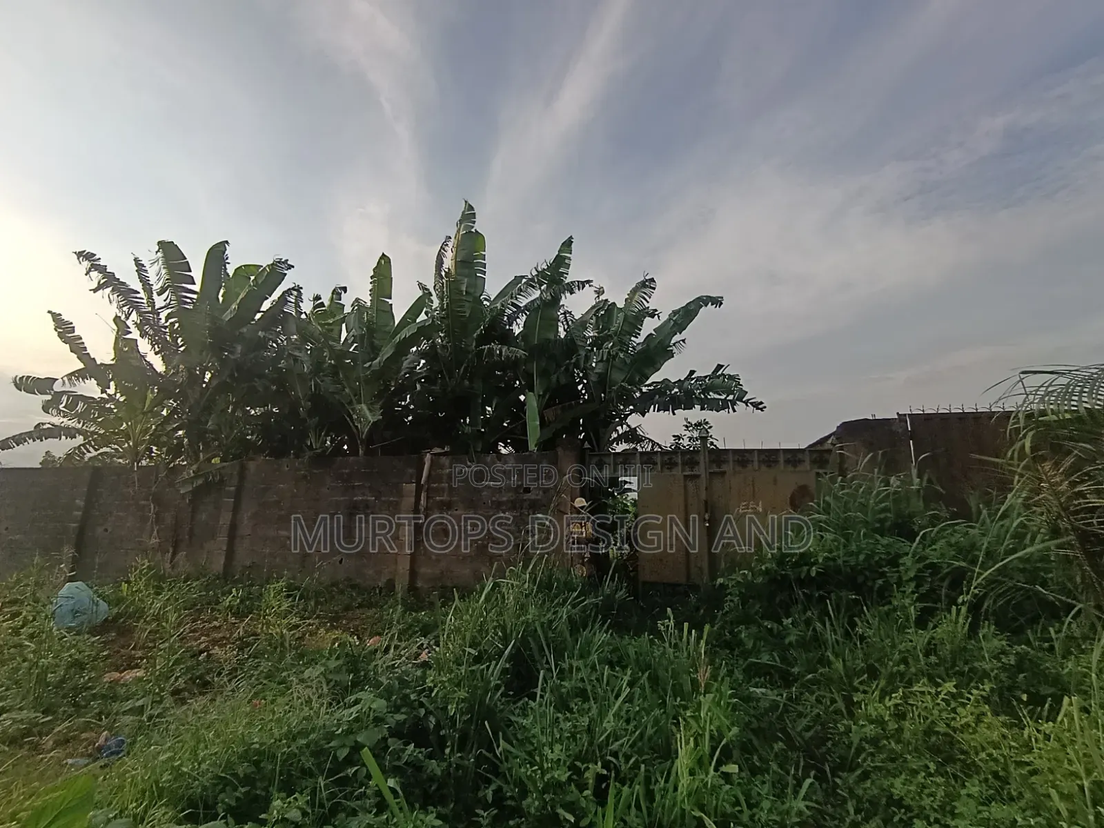 A Table Dry Land Fenced Gated in a Serene Environment We Good Title