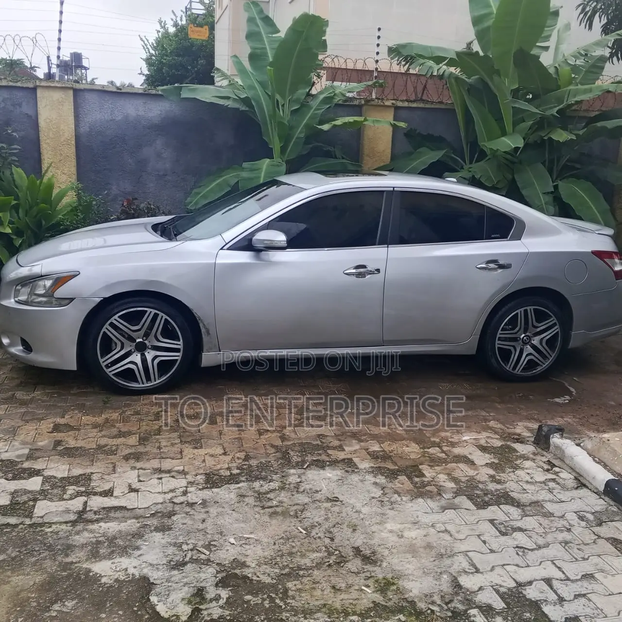Nissan Maxima 2010 Silver