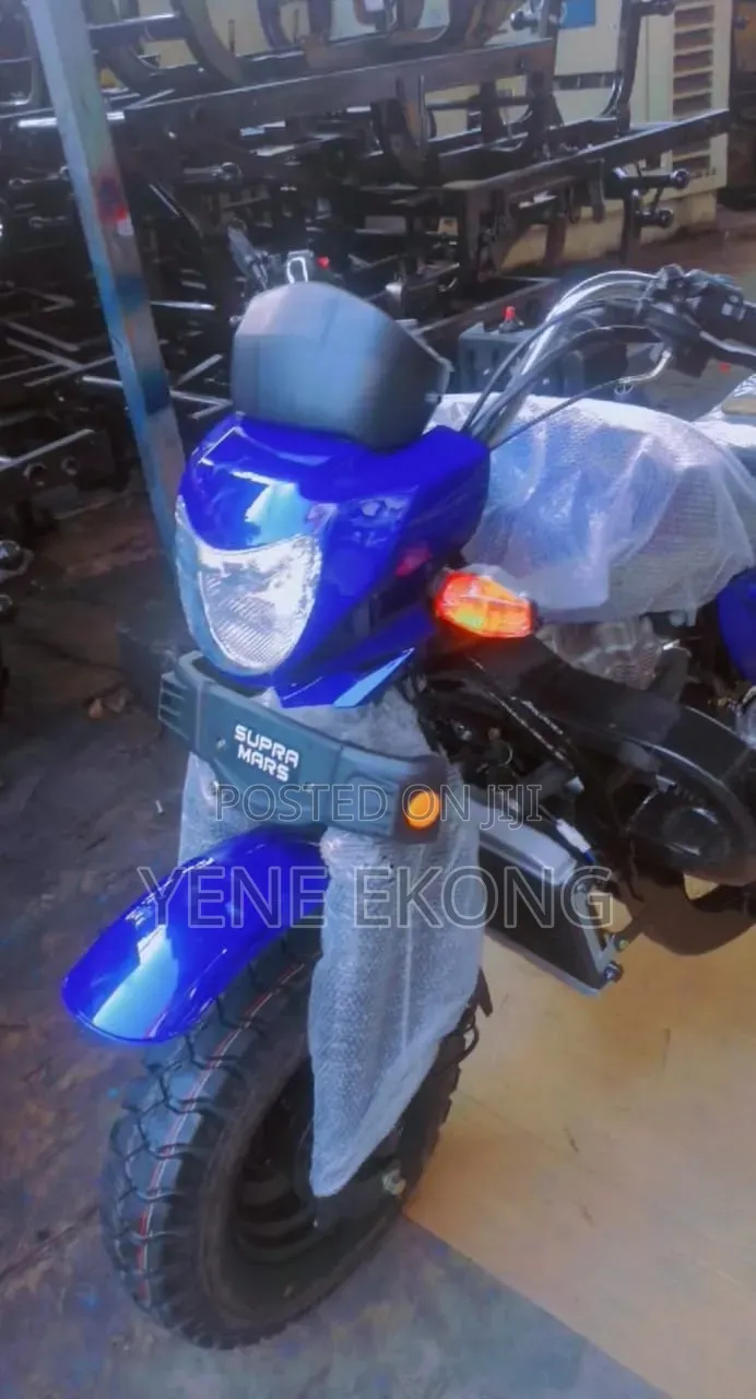 New Tricycle 2026 Blue