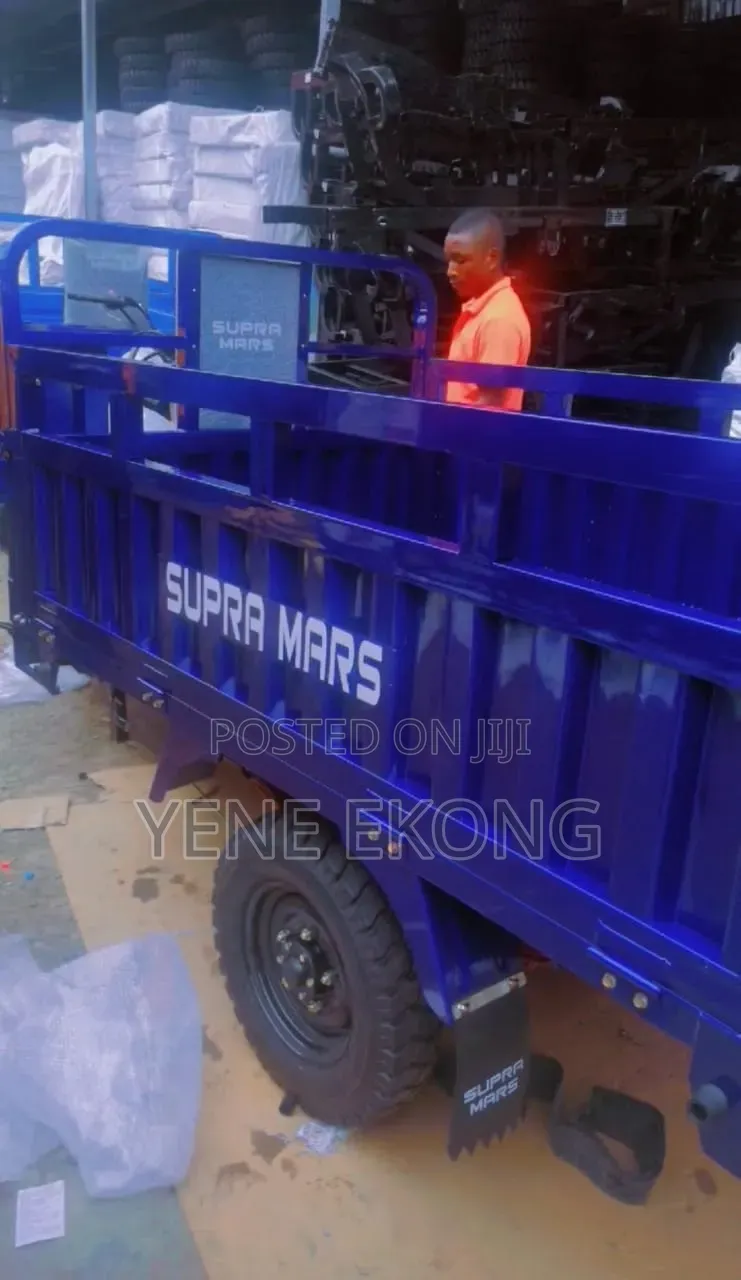 New Tricycle 2026 Blue