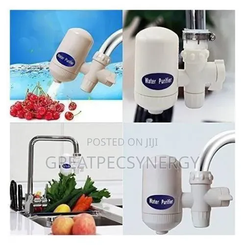 SWS Water Purifier