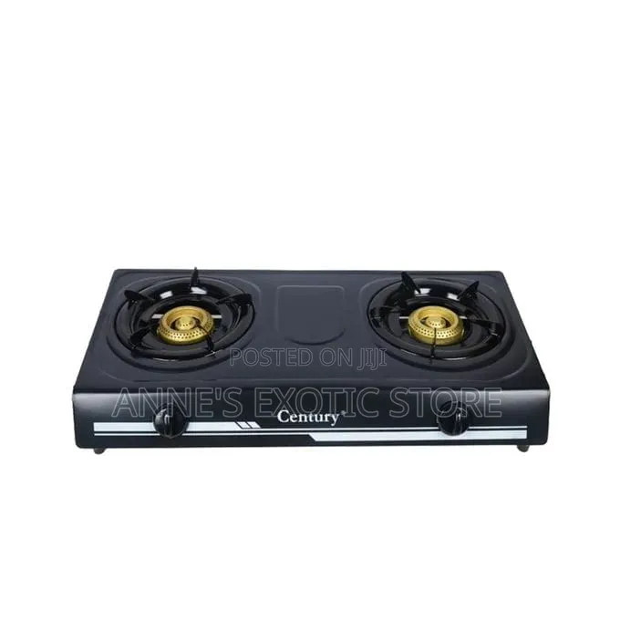Century CGS-201-D 2-Burner Stainless Steel Gas Cooker