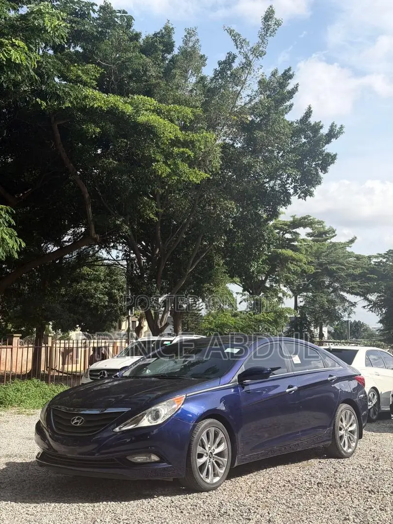 Hyundai Sonata 2012 Blue