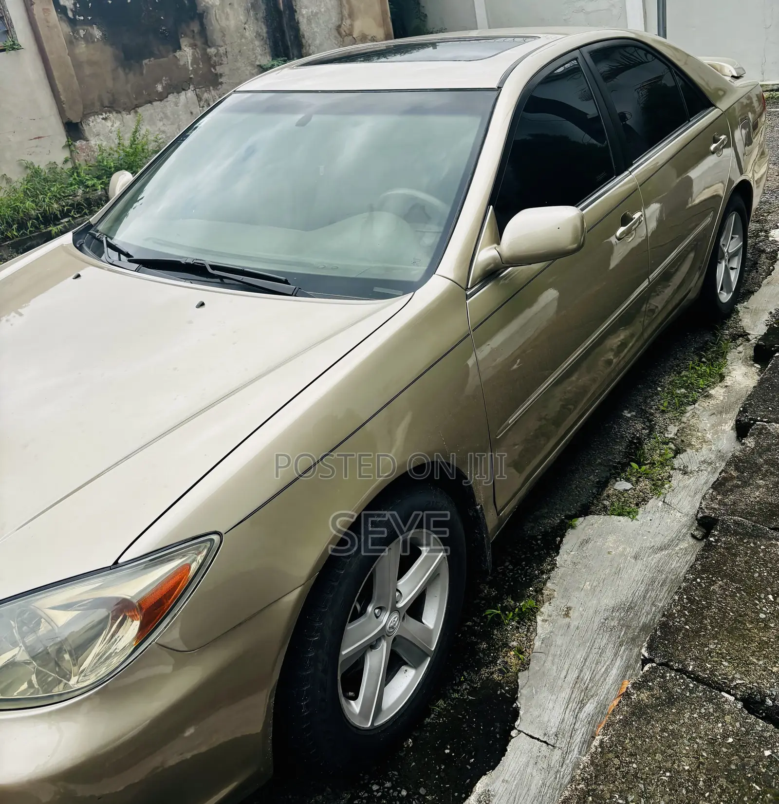Toyota Camry XLE 4dr Sedan (2.4L 4cyl 4A) 2004 Gold