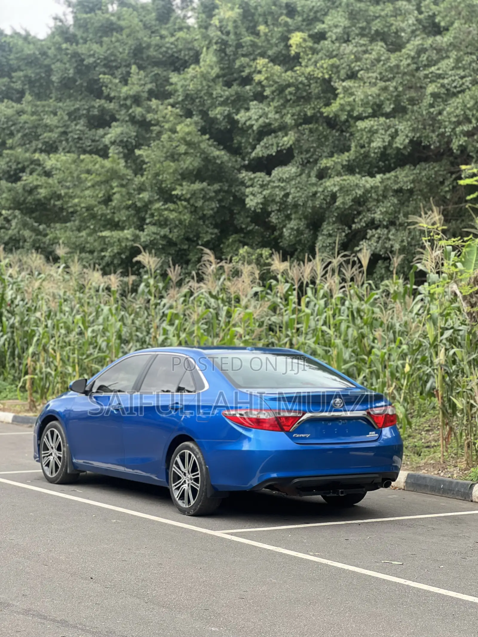 Toyota Camry SE w/Special Edition Pkg (2.5L 4cyl 6A) 2016 Blue